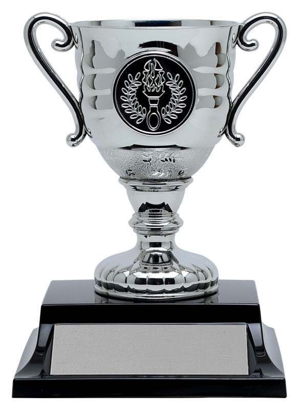 Hugo Cup, Silver