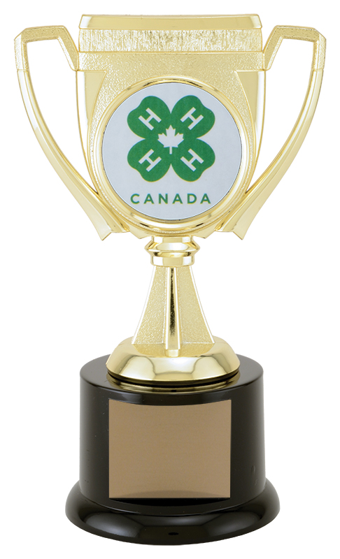 Challenge Cup 2” Holder