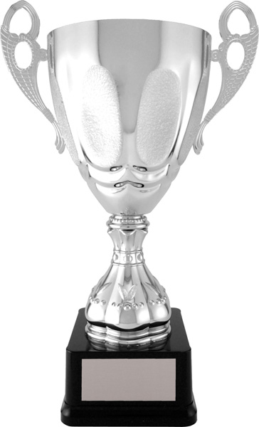 Strattura Cup - Silver